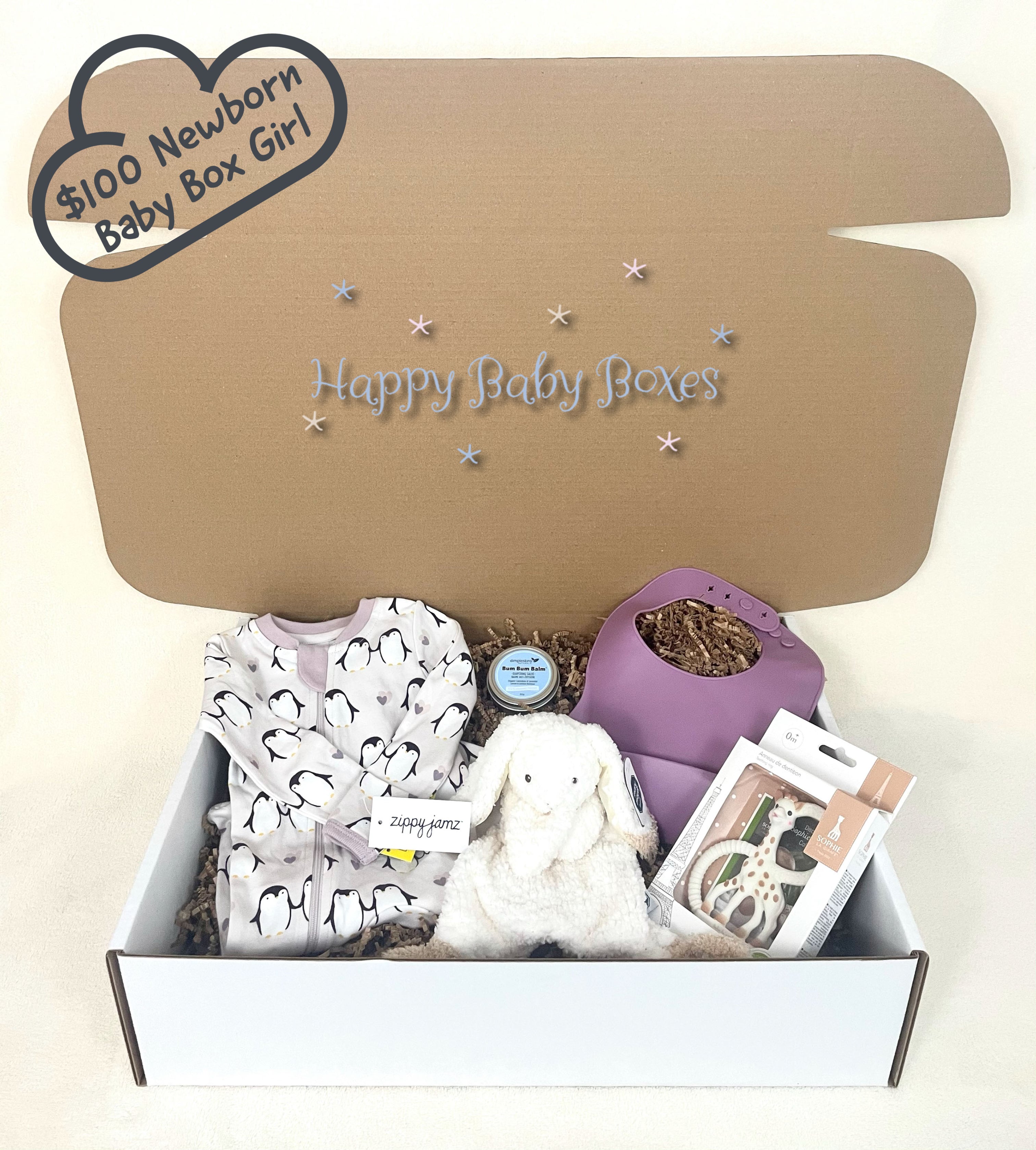 $100 Newborn Baby Box