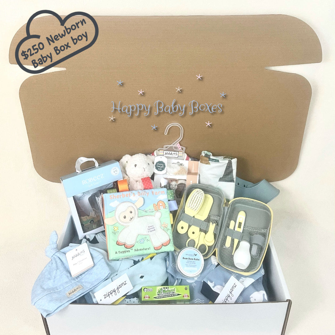 $250 Newborn Baby Box – Happy Baby Boxes